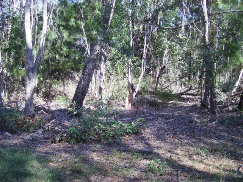 18 Coleus Street, Russell Island QLD 4184