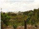 Wynnum West QLD 4178
