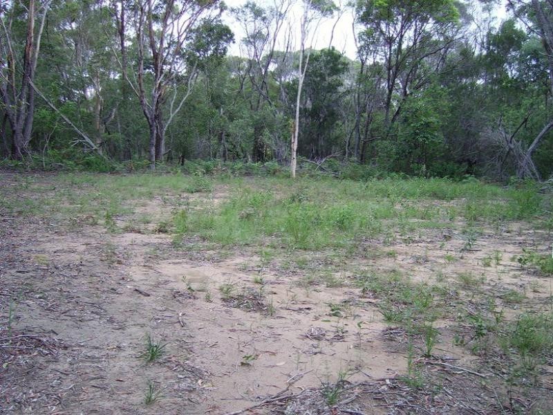 13 Boronia Avenue, Russell Island QLD 4184