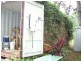 19 Callistemon Street, Russell Island QLD 4184
