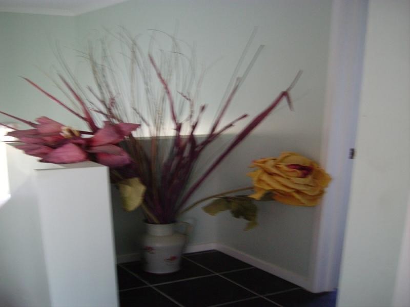 128 Laurel Street, Russell Island QLD 4184