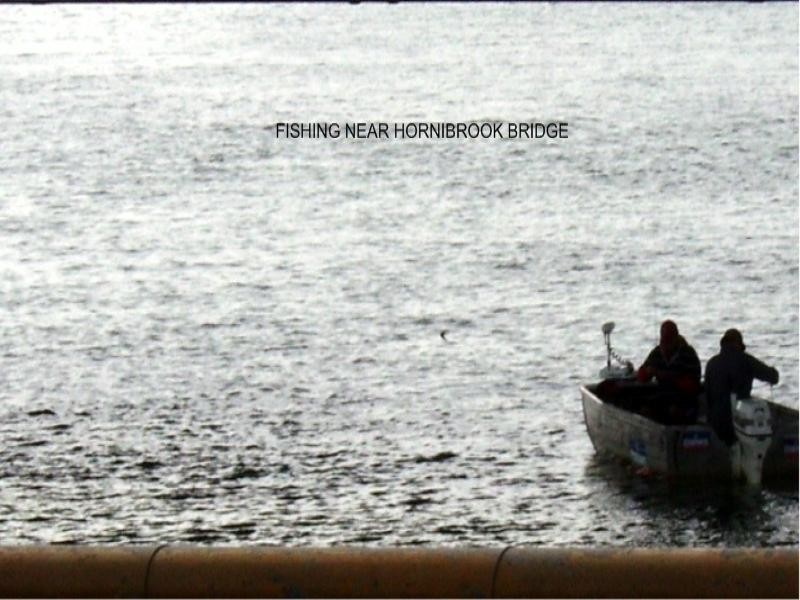 North Lakes QLD 4509