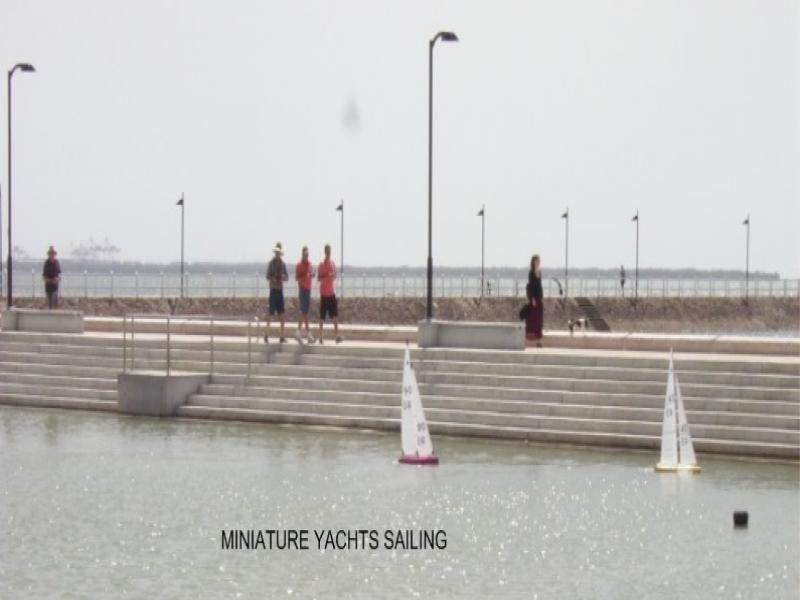 Wynnum West QLD 4178