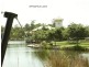 Springfield Lakes QLD 4300