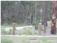 Augustine Heights QLD 4300