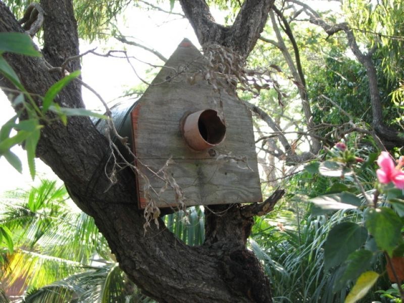 14 Labanka Close, Frenchville QLD 4701