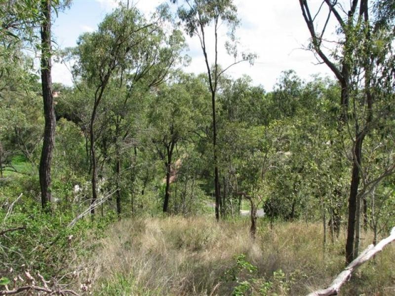 9 Hansen St, Frenchville QLD 4701