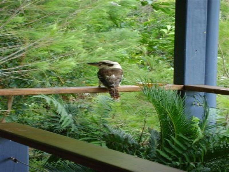 Macleay Island QLD 4184