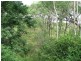Baree QLD 4714