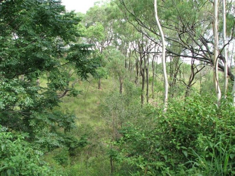 Baree QLD 4714