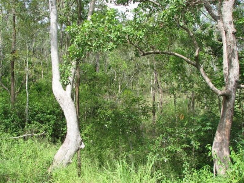 Baree QLD 4714