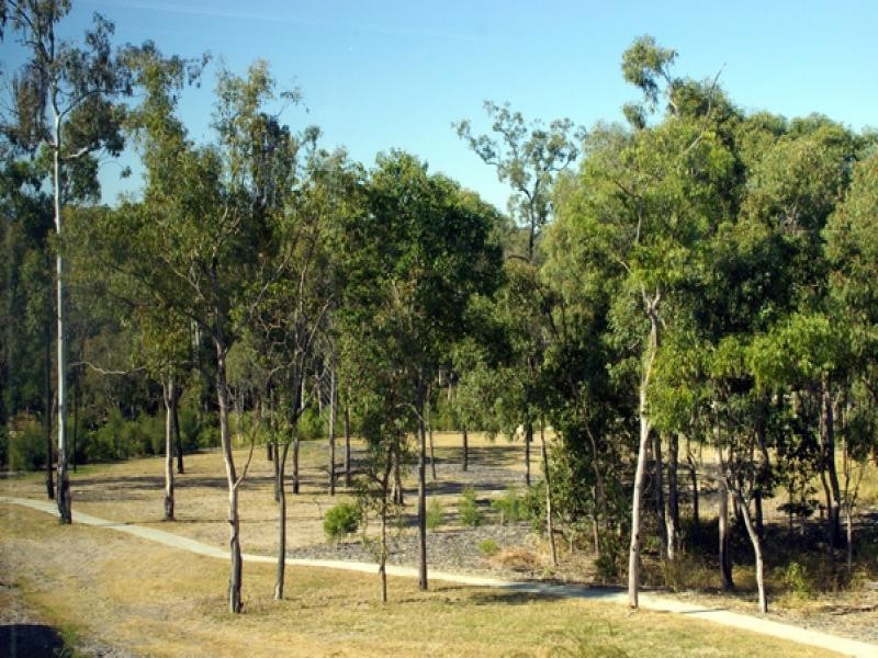 6 Alpinea Ct, Seventeen Mile Rocks QLD 4073