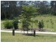 43 Condamine Drive, Sinnamon Park QLD 4073