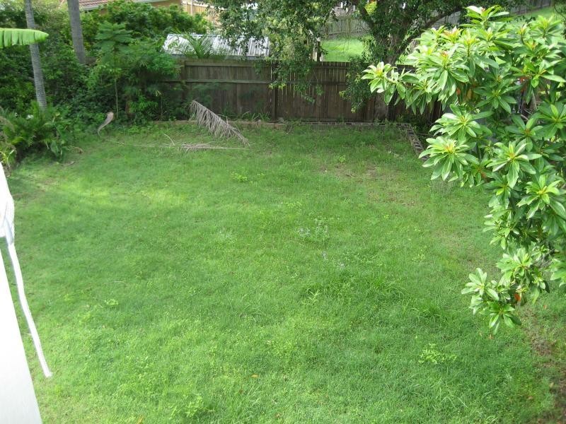 11 Pack St, Jamboree Heights QLD 4074