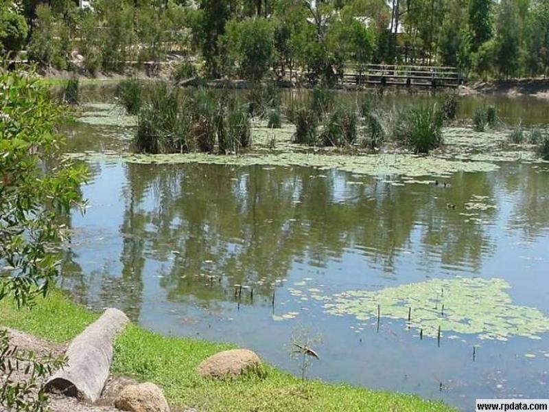 62 Flindersia Crescent, Seventeen Mile Rocks QLD 4073