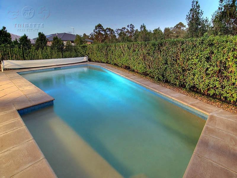 60 Orchard Cres, Springfield Lakes QLD 4300