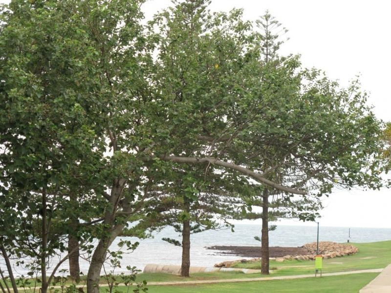 3/51 Landsborough Avenue, Scarborough QLD 4020