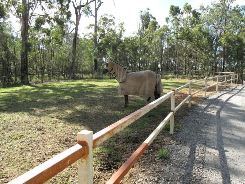 297 Mt Beerwah Road, Glass House Mountains QLD 4518
