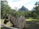 297 Mt Beerwah Road, Glass House Mountains QLD 4518