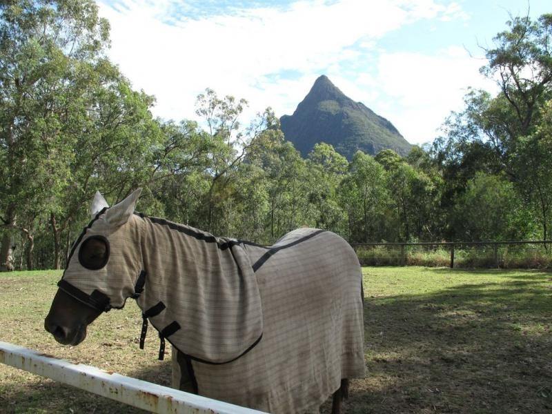 297 Mt Beerwah Road, Glass House Mountains QLD 4518