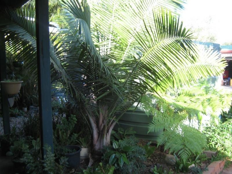 221 Nairn Road, Morayfield QLD 4506