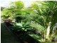 161 School Road, Kallangur QLD 4503