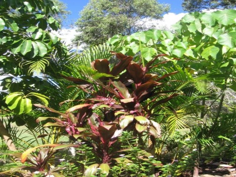 Regency Downs QLD 4341