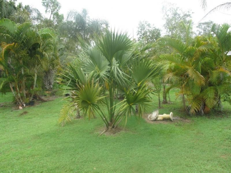 115 Wattlebird Drive, Elimbah QLD 4516