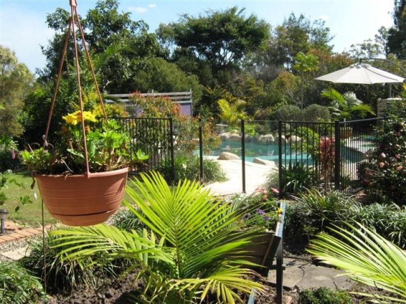 113 Morris Road, Elimbah QLD 4516