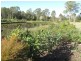River Valley 3/4 Acre Estate, Upper Caboolture QLD 4510
