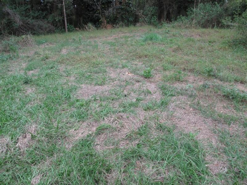 Ningi QLD 4511