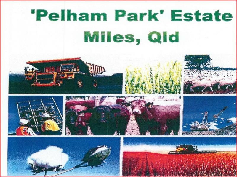 1 Pelham Park Estate, Miles QLD 4415