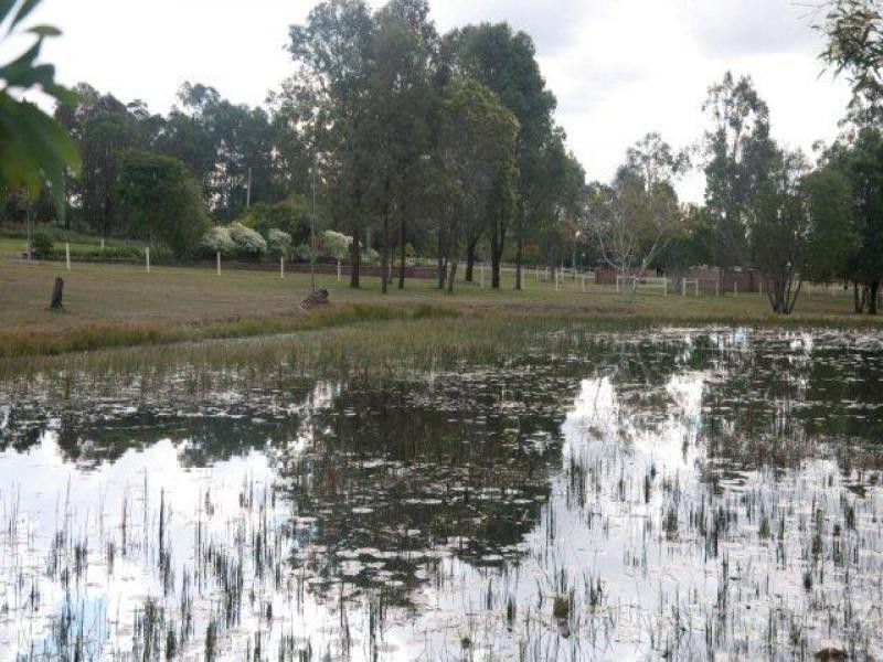 980a Caboolture River Road, Moorina QLD 4506