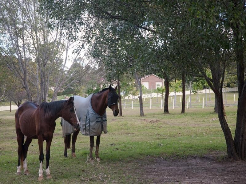 980a Caboolture River Road, Moorina QLD 4506