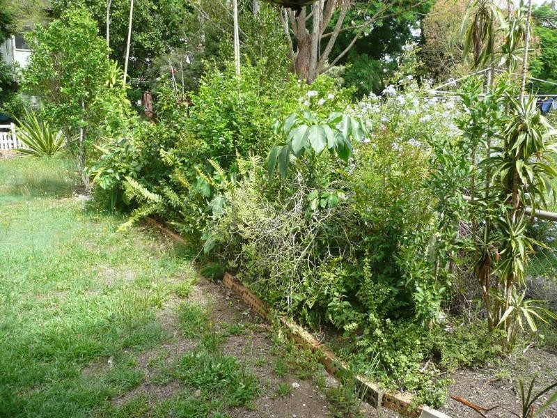 39  Bellevue Parade, Lota QLD 4179