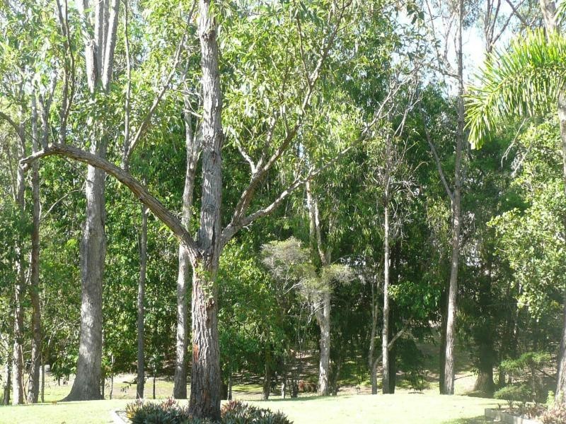 27/47 Hindes Street, Lota QLD 4179