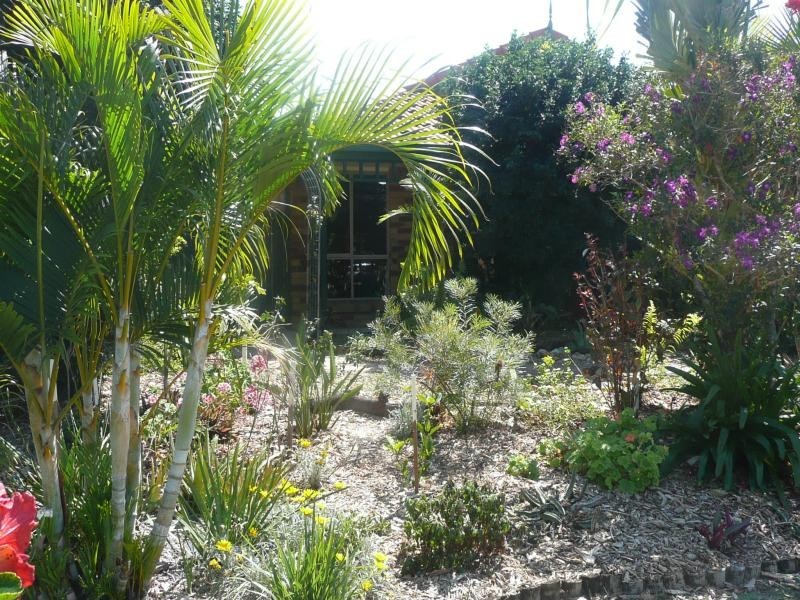 29  Torquay Crescent, Tingalpa QLD 4173