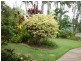 4 Boambillee Street, Thorneside QLD 4158