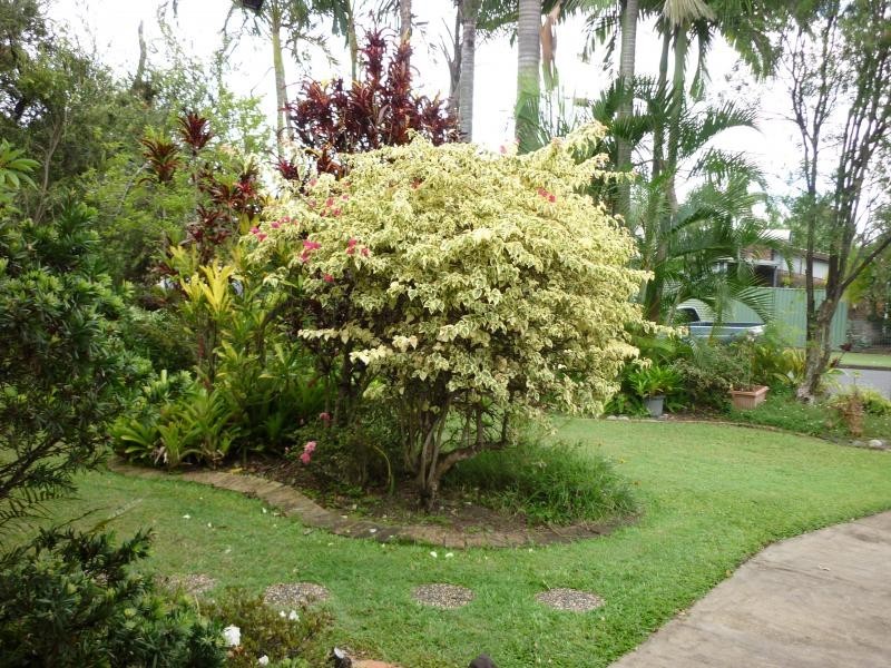 4 Boambillee Street, Thorneside QLD 4158