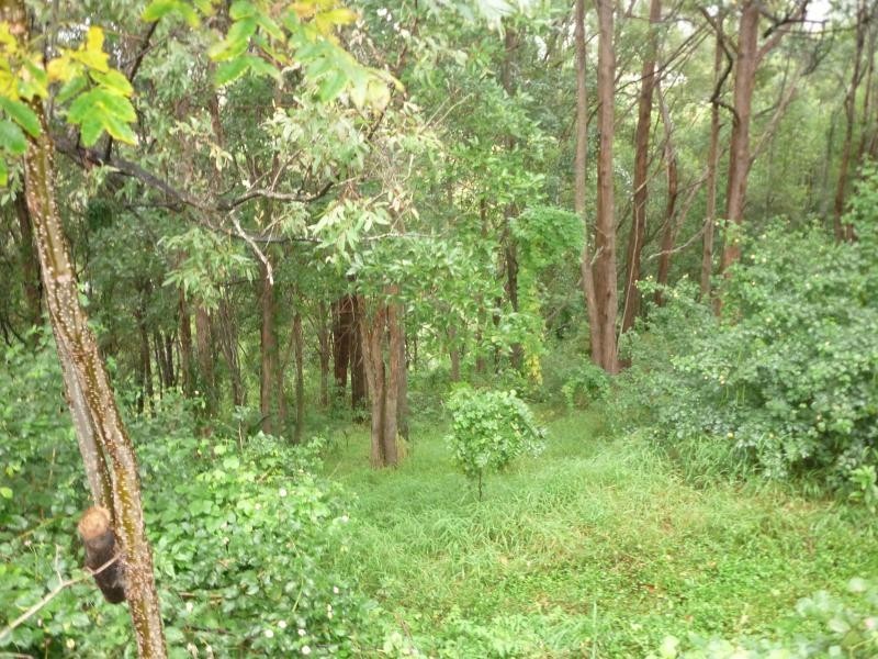 6 Earle Court, Tallai QLD 4213