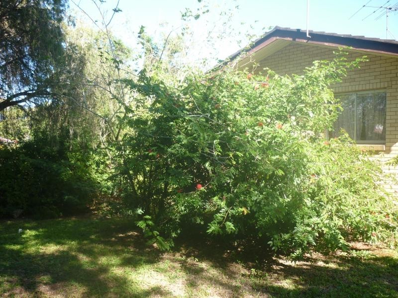 16 Clare Road, Kingston QLD 4114