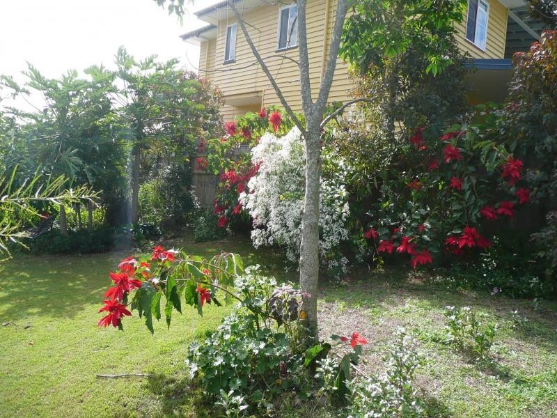 365 Tingal Road, Wynnum QLD 4178