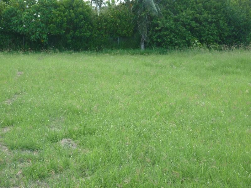 12 Milton Street, Burnett Heads QLD 4670