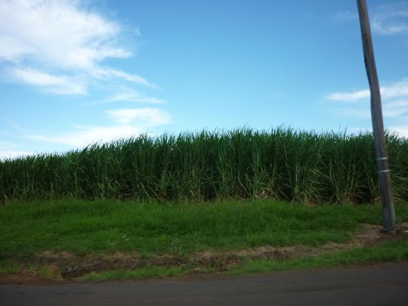 12 Milton Street, Burnett Heads QLD 4670