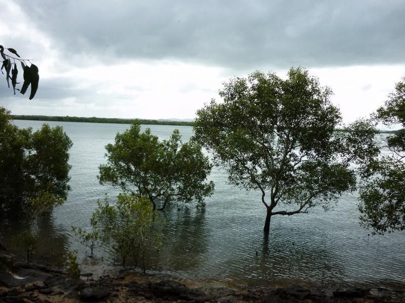 19 Cliff Tce, Macleay Island QLD 4184