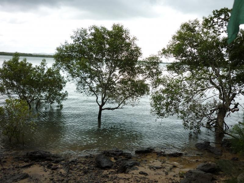 19 Cliff Tce, Macleay Island QLD 4184