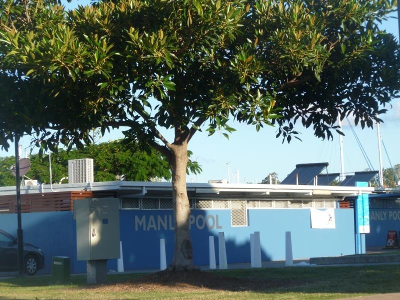 130 Boswell Terrace, Manly QLD 4179