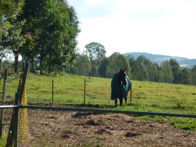 1019 Brisbane Valley Highway, Fairney View QLD 4306
