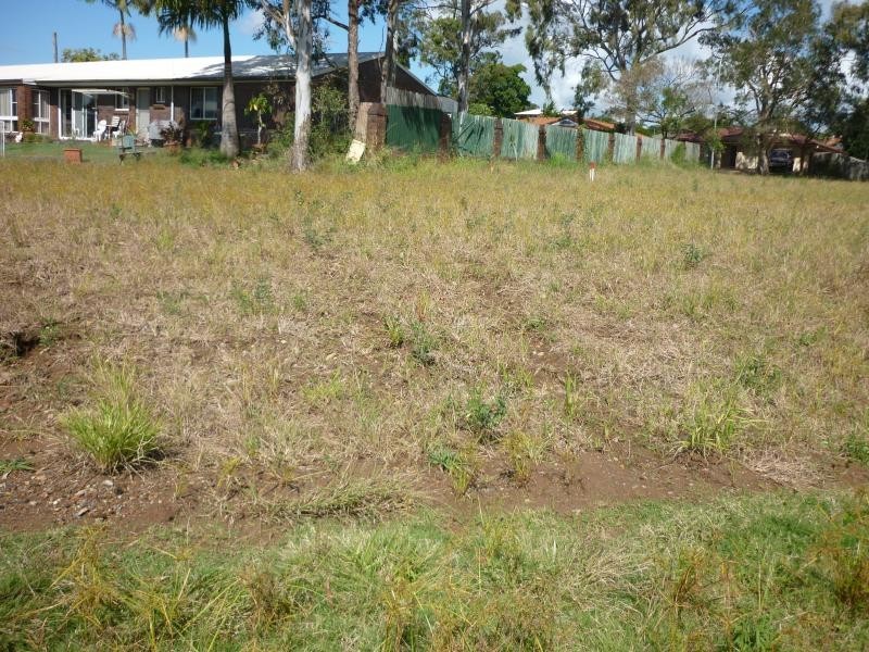 17 Nutmeg Court, Birkdale QLD 4159