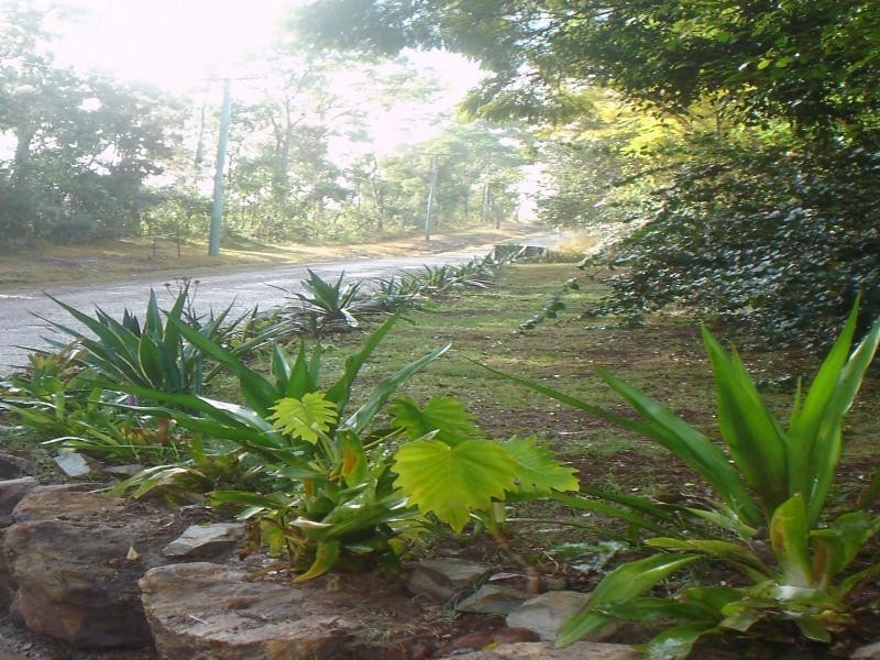 96 Ermelo Road, Belmont QLD 4153